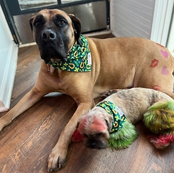 Screenshot (434).png