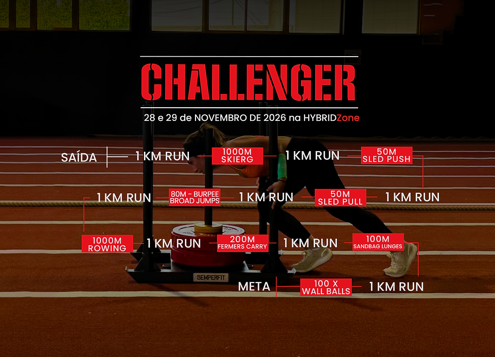 CHALLENGER - HybridZone