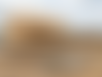 Fundamentals of Structural Design for Homes