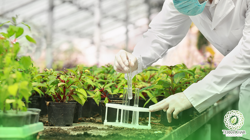 Terra Char and University of Missouri biochar research partnership