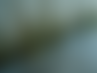 Understanding the Connection Between Humidity and Mold Growth