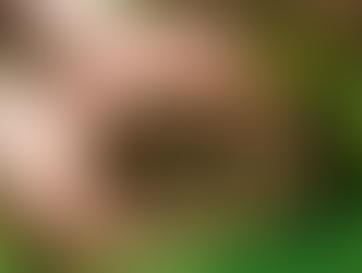 How Biochar Works — The Science Behind Soil Regeneration