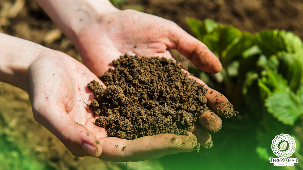 How Biochar Works — The Science Behind Soil Regeneration