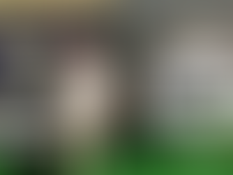 TerraChar® Showcases Innovation as one of the Sponsors at the 2025 North American Biochar Conference