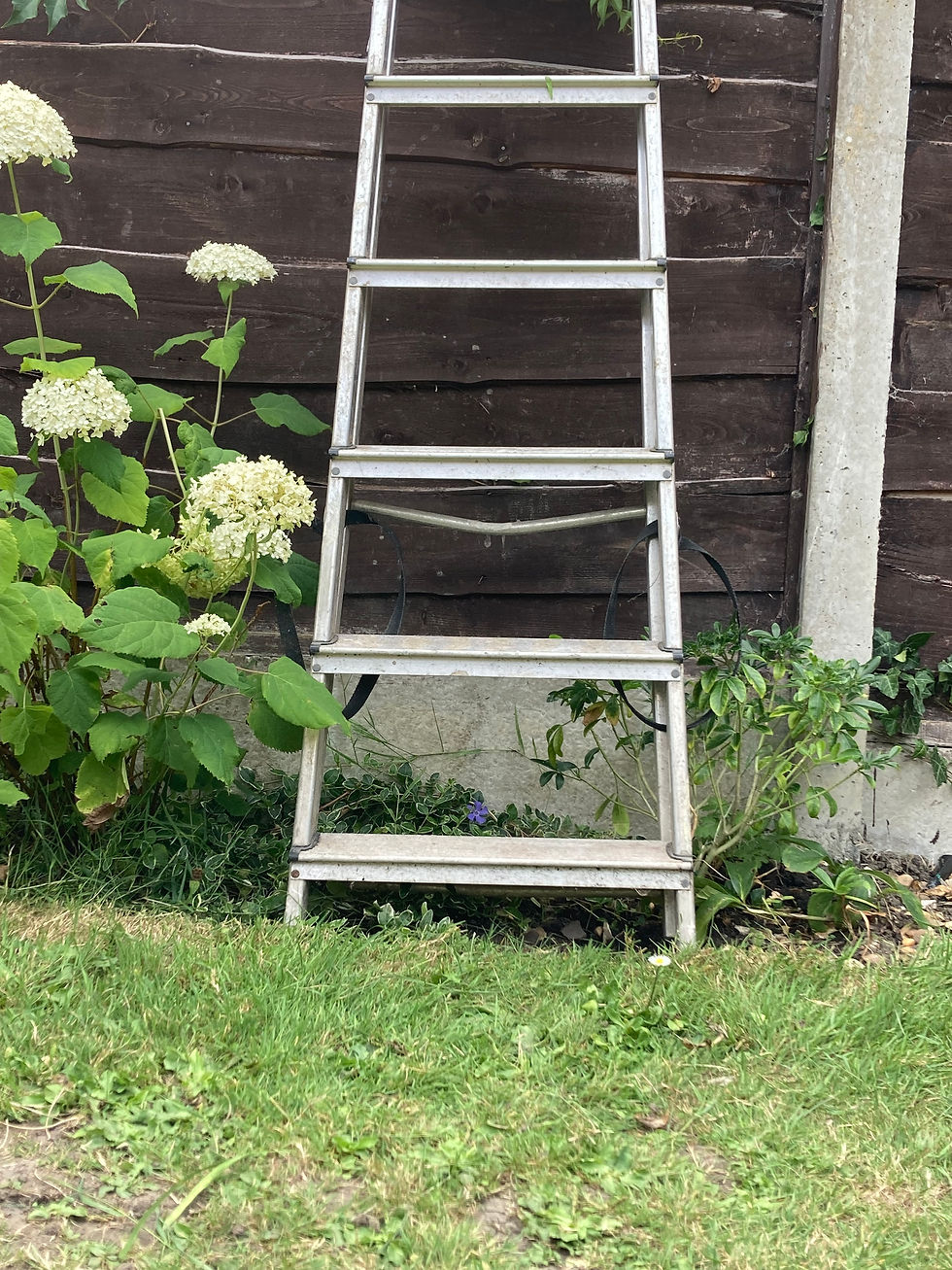 A ladder whose top cannot be seen