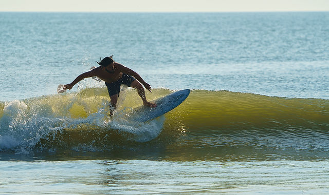 FREEDOM SEED | make-and-ride-surf