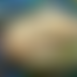 Chicken Enchiladas Verdes