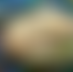 Chicken Enchiladas Verdes
