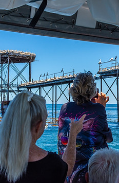 Limestone Coast Boat Tours.jpg