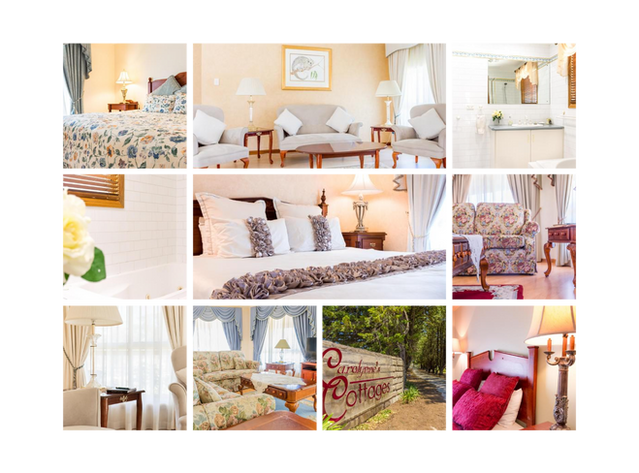 JT-Elements-Photography (4).png