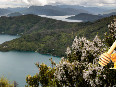 Discover the Potent Power of New Zealand Manuka Honey: MGO Certification and its Health Benefits