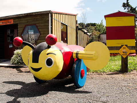 The Flight of the Buzzy Bee: A Kiwi Icon Lands in Kerikeri