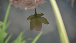 The More Challenges in Life, the More Opportunities You Have to Live Fully in the Moment.