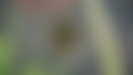 The More Challenges in Life, the More Opportunities You Have to Live Fully in the Moment.