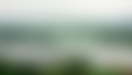 Breath Awareness Practice: How Letting Go Improves Nervous System Health and Emotional Balance