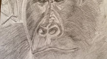 A lovely drawing by Pam Jobling...