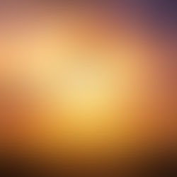 Rodman - Sunrise