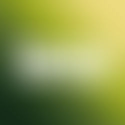 The Trance Empire 420