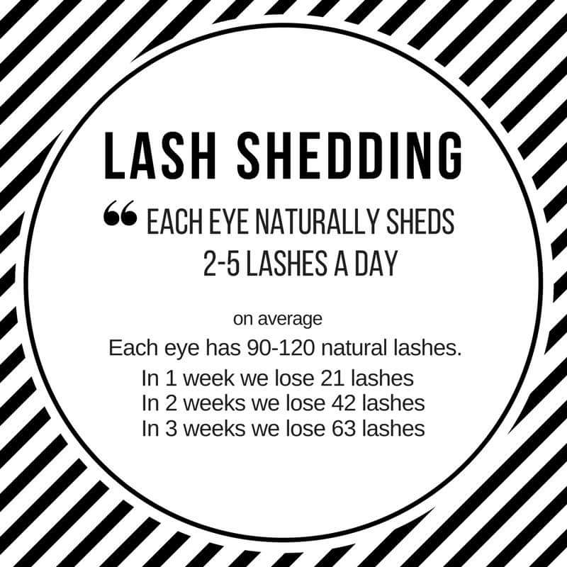 Why do you need to fill your eyelash extensions every 23 weeks? The