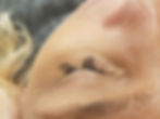 improper eyelash extension application, eyelash extensions, eyelash extension maintenance, eyelash extensions springfield mo, eyelash extensions near me, eyelash extension care, springfield mo eyelash extensions, springfield mo hair salon