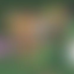 Using State in a Shopping Cart Functional Component