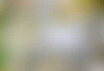 Fasya Sağlığına Bütünsel Yaklaşım