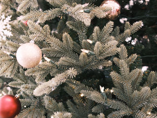 2025 Christmas Eve Potluck