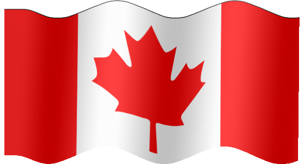 Flag.gif