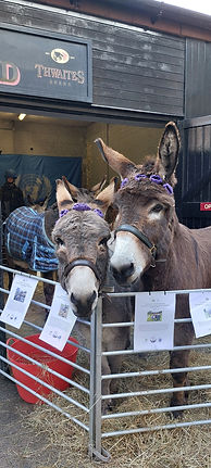 Diccon and Colin loved meeting the public..jpg