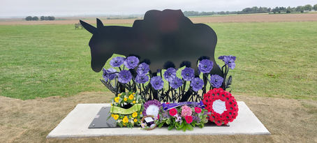 A Donkey and Horse are remembered on the Somme . . .