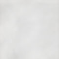 SSP_Liberty.jpg