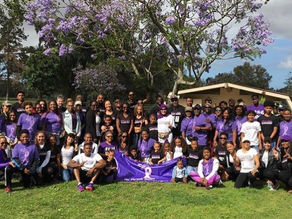 Amir Alliance For Success and Purple Ribbon