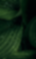ChatGPT Image Jun 16, 2026 at 06_54_41 AM.png