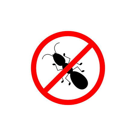 Zap Pest Control Pest Control Services