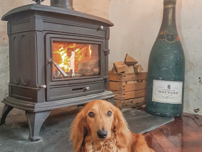 Dog friendly, cosy cafe with woodburner.