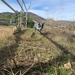 79772744_592065828212605_654906148121477