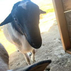 78419979_574151060004082_800966218507039