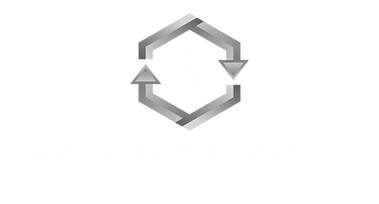 SAVVY-LOGO.png