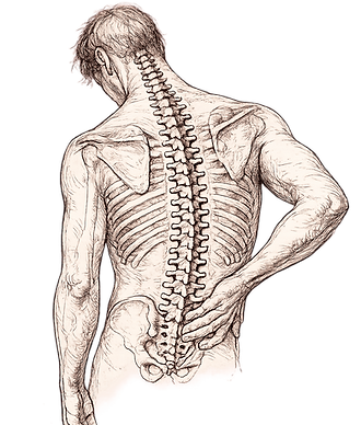 Coluna Vertebral Vintage.png
