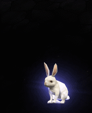 GIF.gif