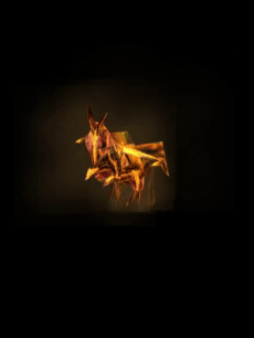 image.webp