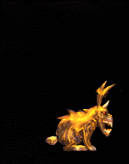 image (1).gif