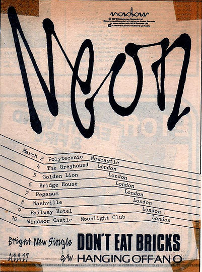 Neon, group, north east, Don't Cover Your Hair, Bottles, I'm Only Little, Tim Jones, Radar Records, Martin Hannett