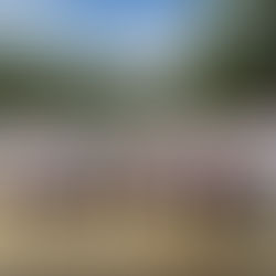 RLCDLP53 consagra el Templo de la Logia Rey Salomón.