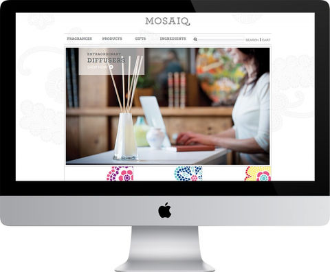 mosaiq-website2-800x661