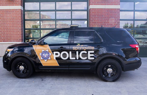 sv_vehicle_police1_1-800x519