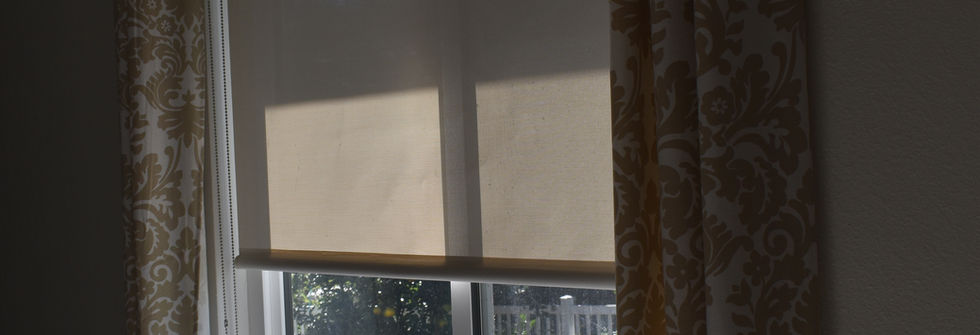Roller Shades Tallahassee