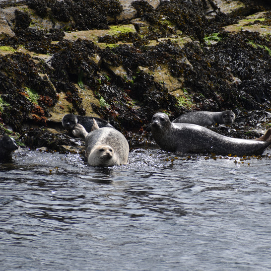 DSC_0876.JPG