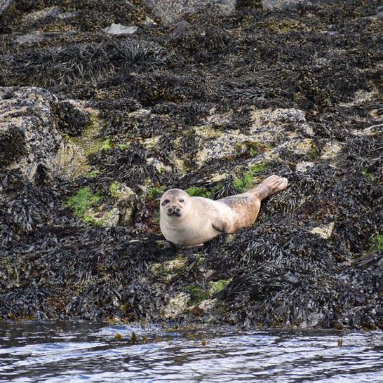 DSC_0947.JPG