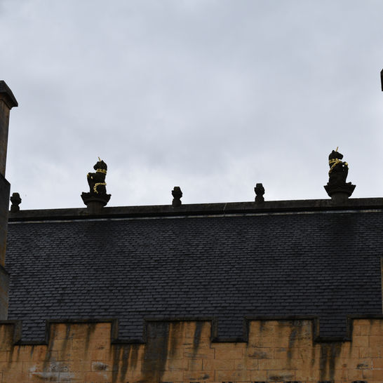 DSC_0514.JPG